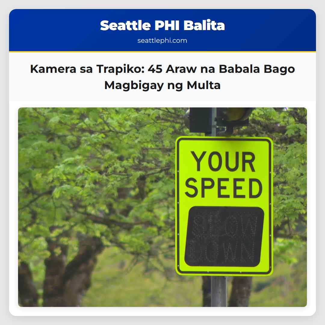 Kamera sa Trapiko 45 Araw na Babala Bago Magbigay ng Multa