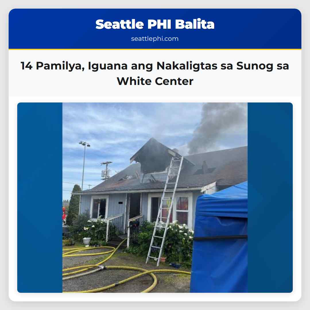 14 Pamilya, Iguana ang Nakaligtas sa Sunog sa