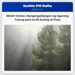 NOAH Center Nangangailangan ng Agarang Tulong para sa 60 Kuting at Pusa
