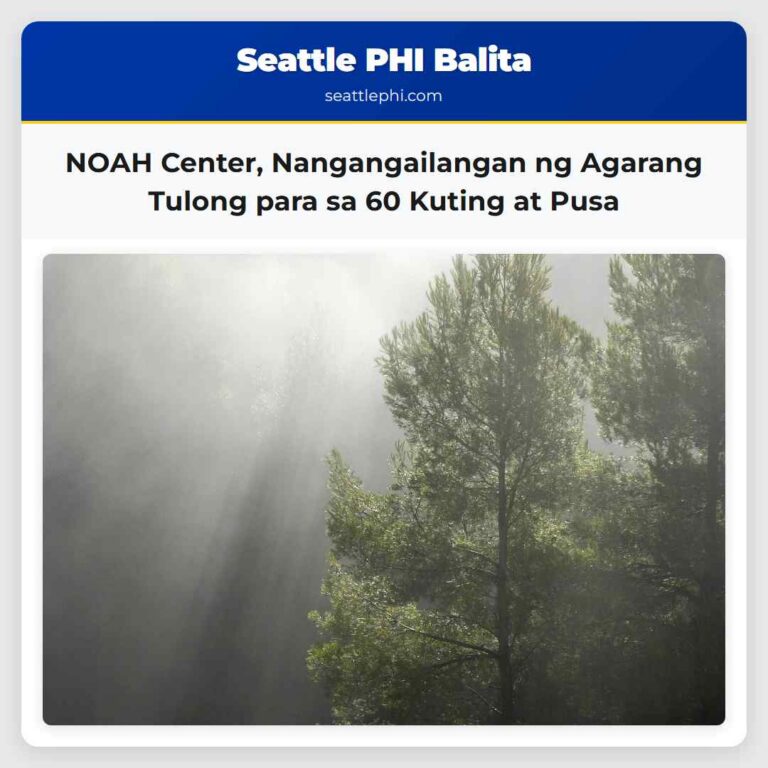 NOAH Center Nangangailangan ng Agarang Tulong para sa 60 Kuting at Pusa
