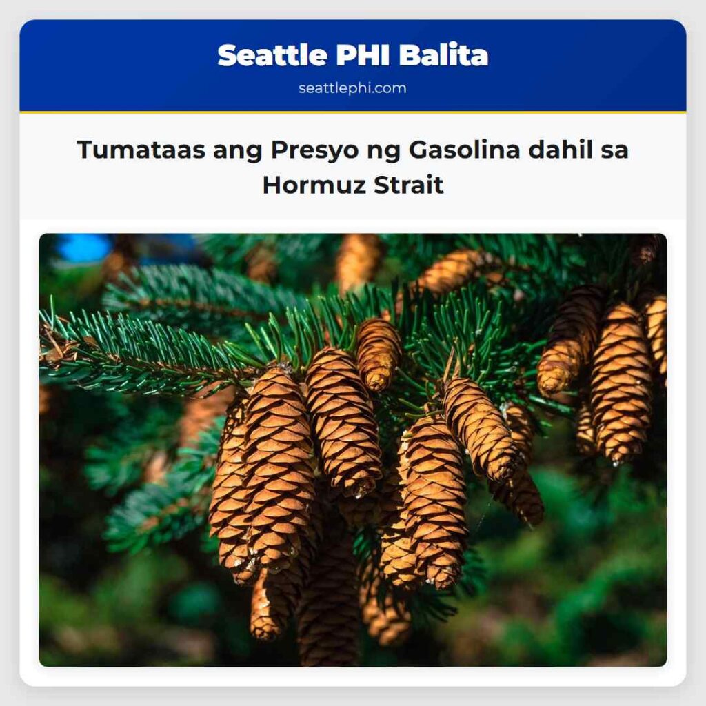Tumataas ang Presyo ng Gasolina dahil sa Hormuz