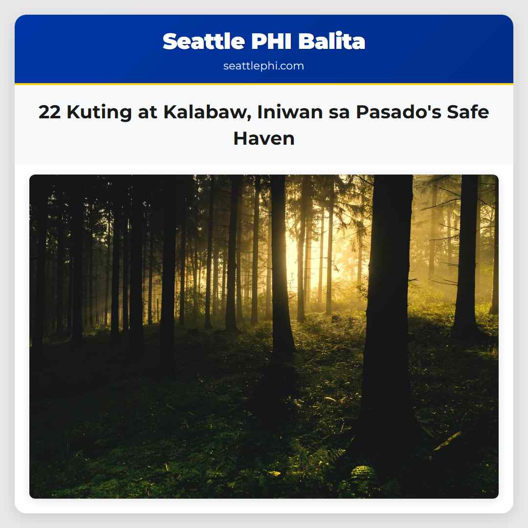 22 Kuting at Kalabaw, Iniwan sa Pasado's Safe