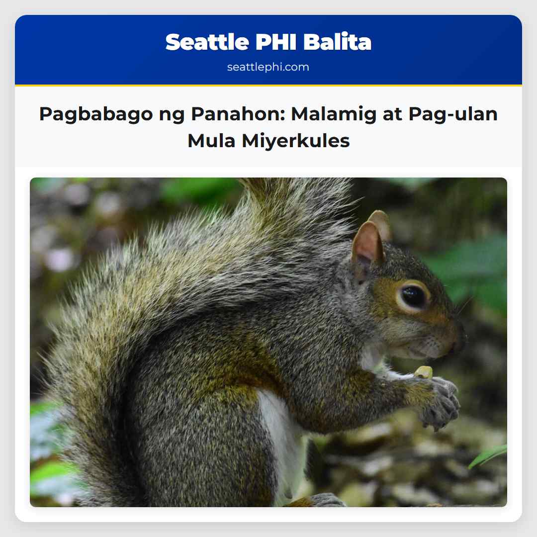 Pagbabago ng Panahon Malamig at Pag-ulan Mula Miyerkules
