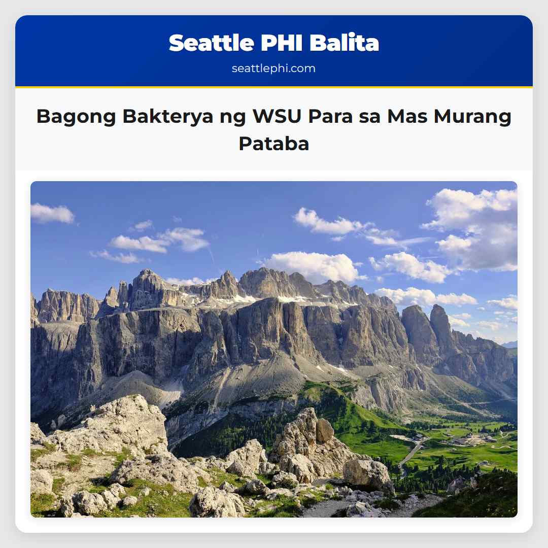 Bagong Bakterya ng WSU Para sa Mas Murang Pataba