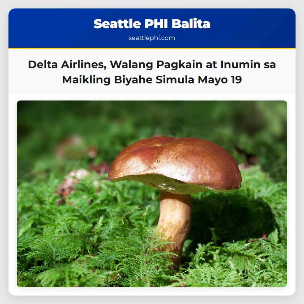 Delta Airlines, Walang Pagkain at Inumin sa