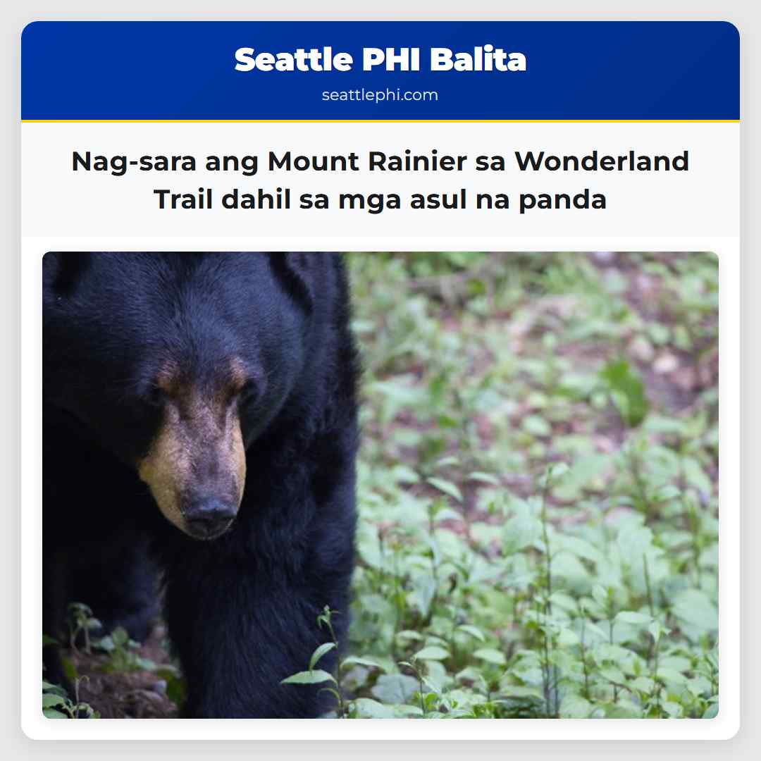 Nag-sara ang Mount Rainier sa Wonderland Trail dahil sa mga asul na panda