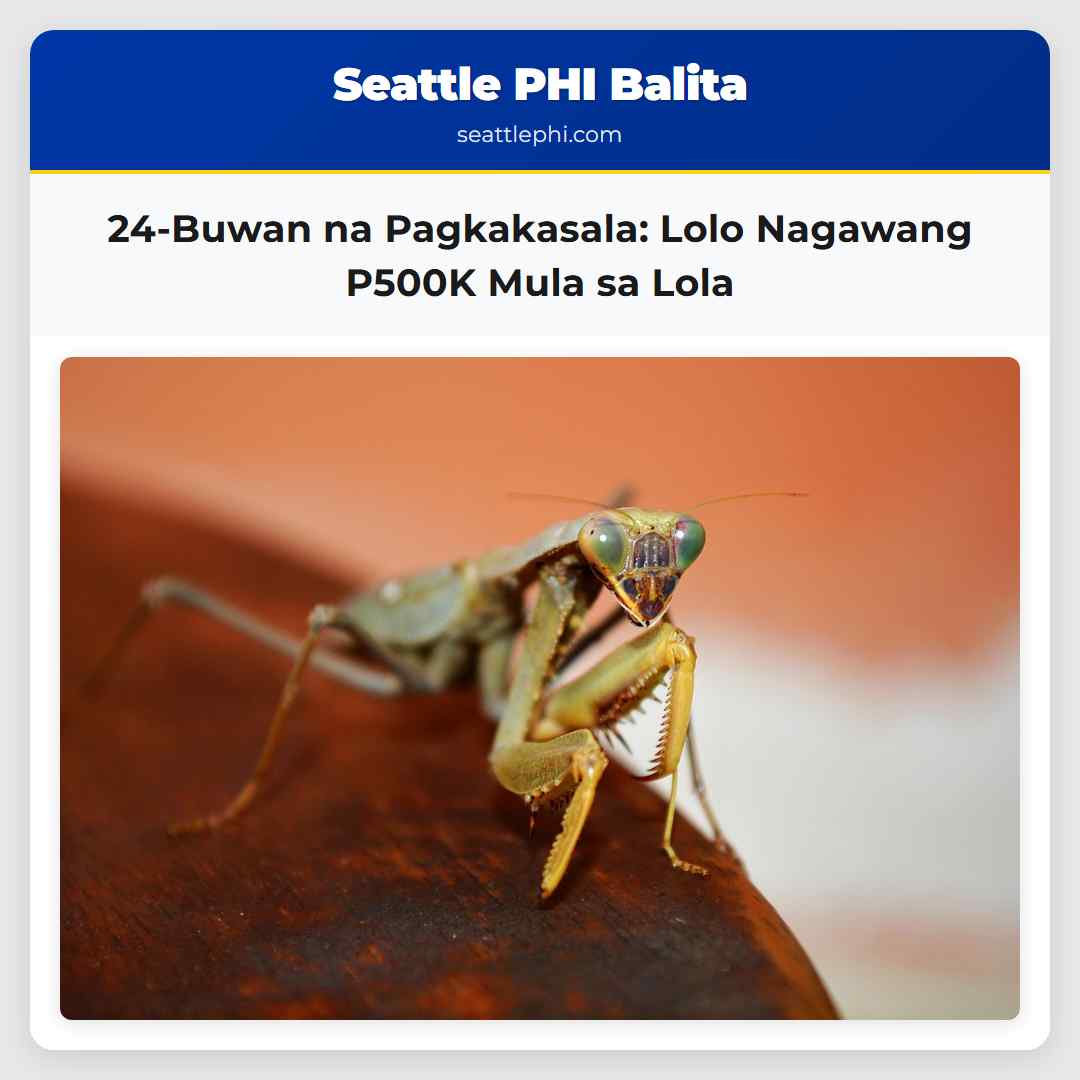 24-Buwan na Pagkakasala: Lolo Nagawang P500K Mula