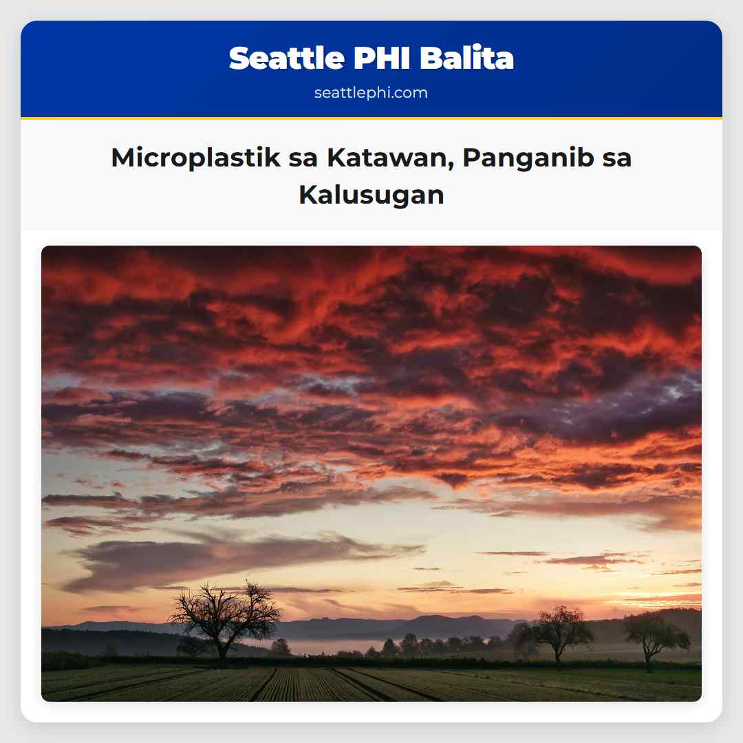 Microplastik sa Katawan, Panganib sa Kalusugan