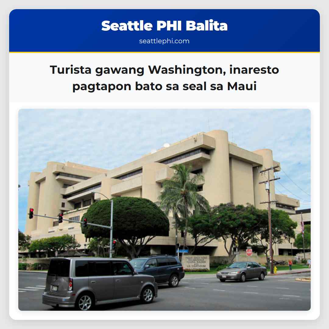 Turista gawang Washington inaresto pagtapon bato sa seal sa Maui