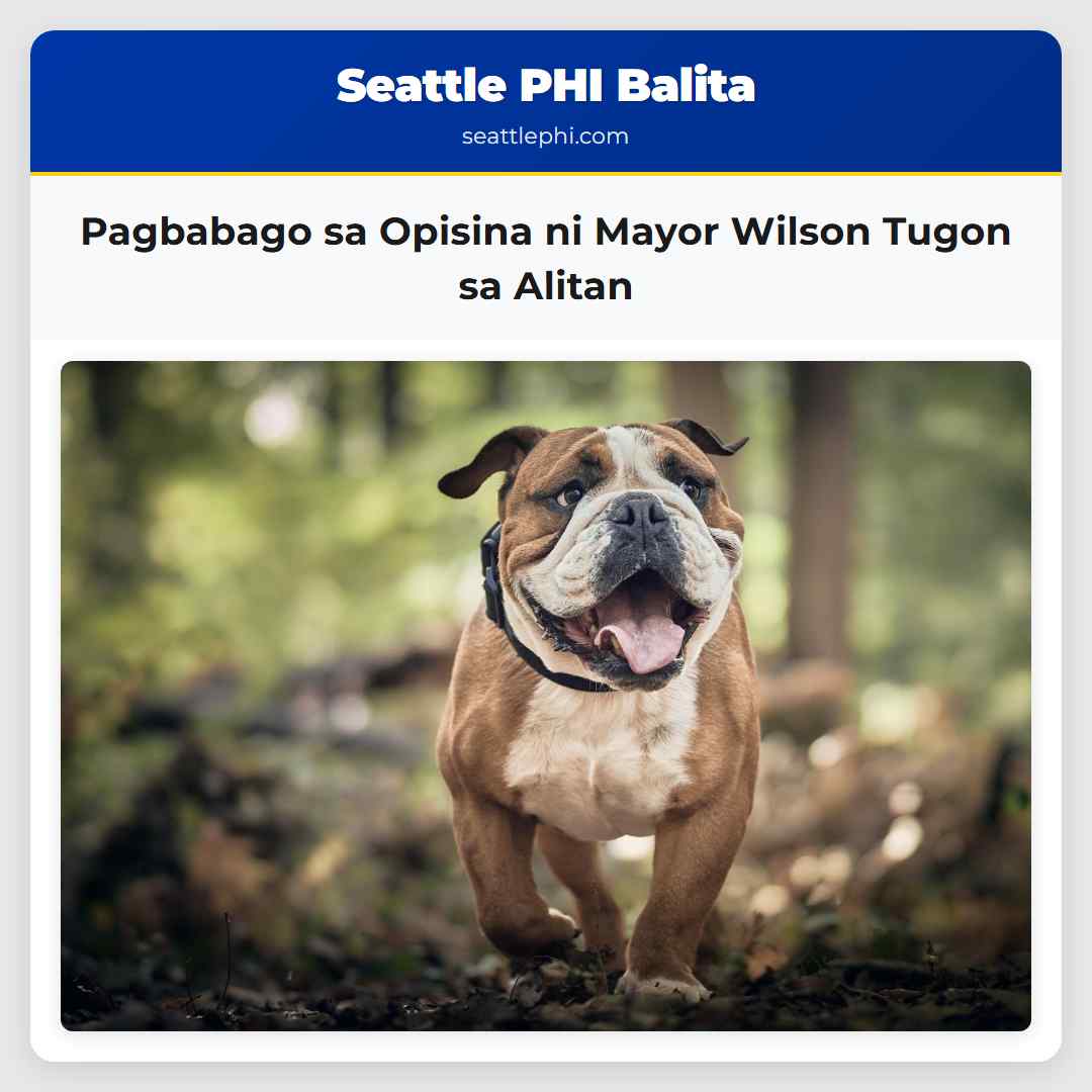Pagbabago sa Opisina ni Mayor Wilson Tugon sa Alitan