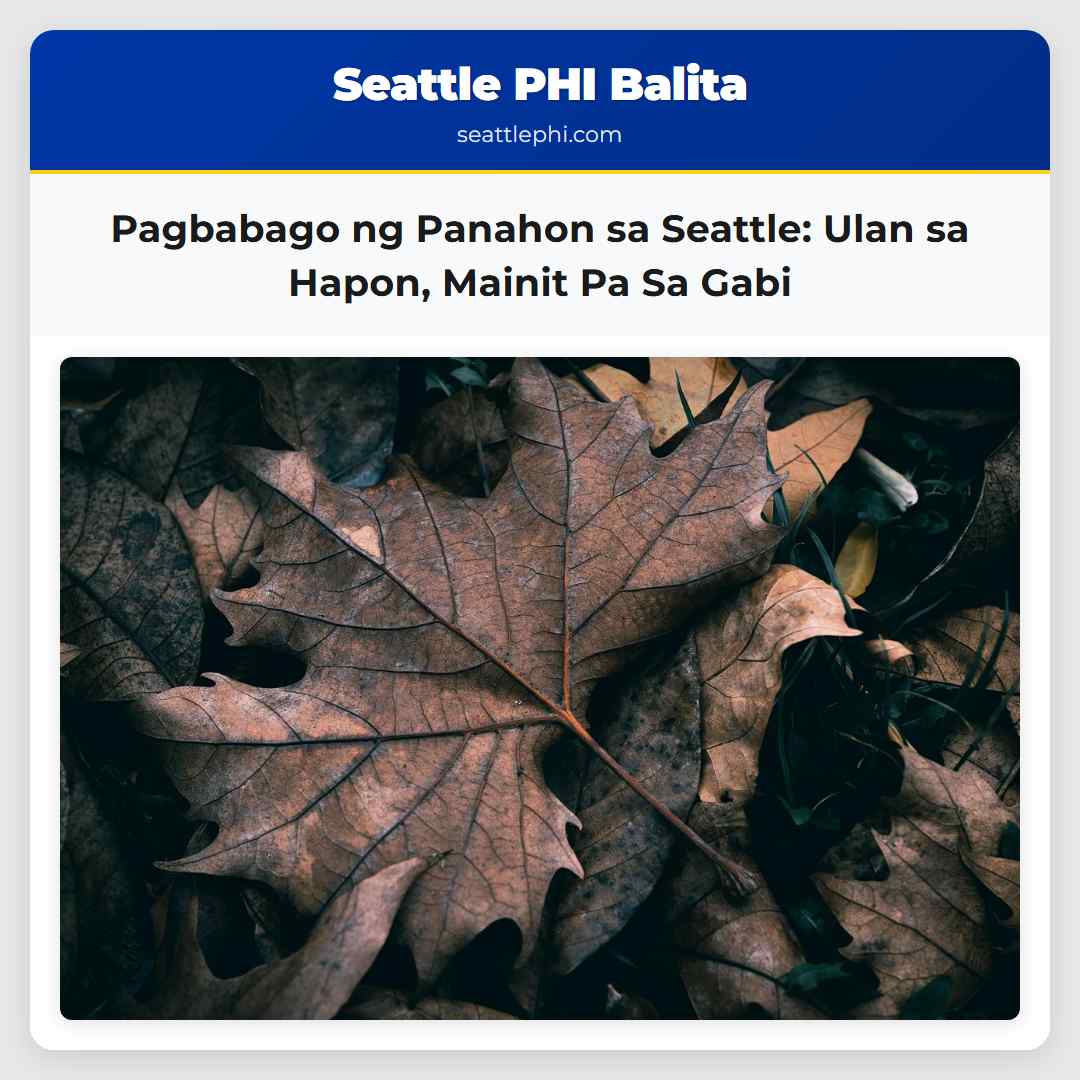 Pagbabago ng Panahon sa Seattle: Ulan sa Hapon,