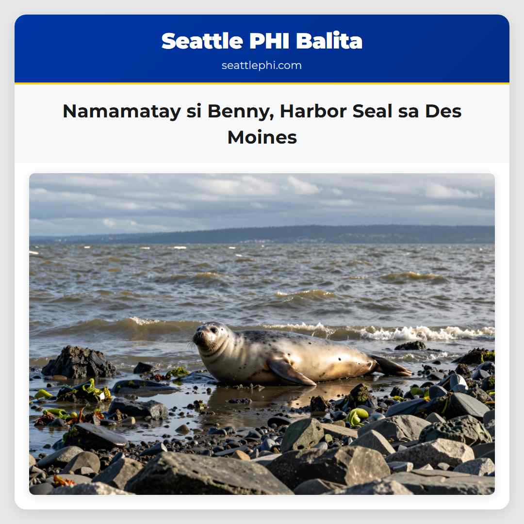 Namamatay si Benny Harbor Seal sa Des Moines