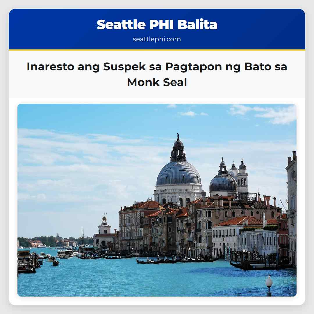 Inaresto ang Suspek sa Pagtapon ng Bato sa Monk Seal