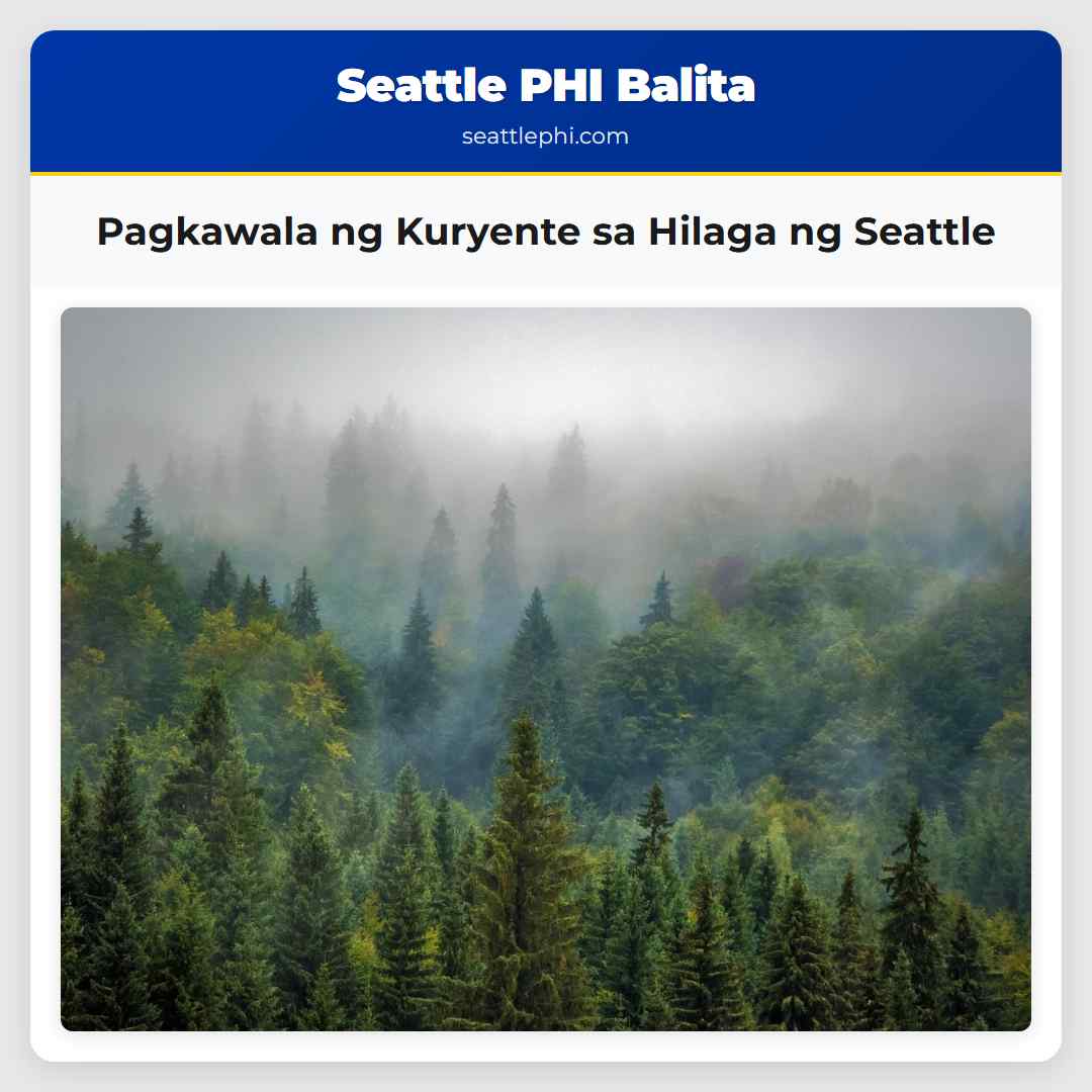 Pagkawala ng Kuryente sa Hilaga ng Seattle