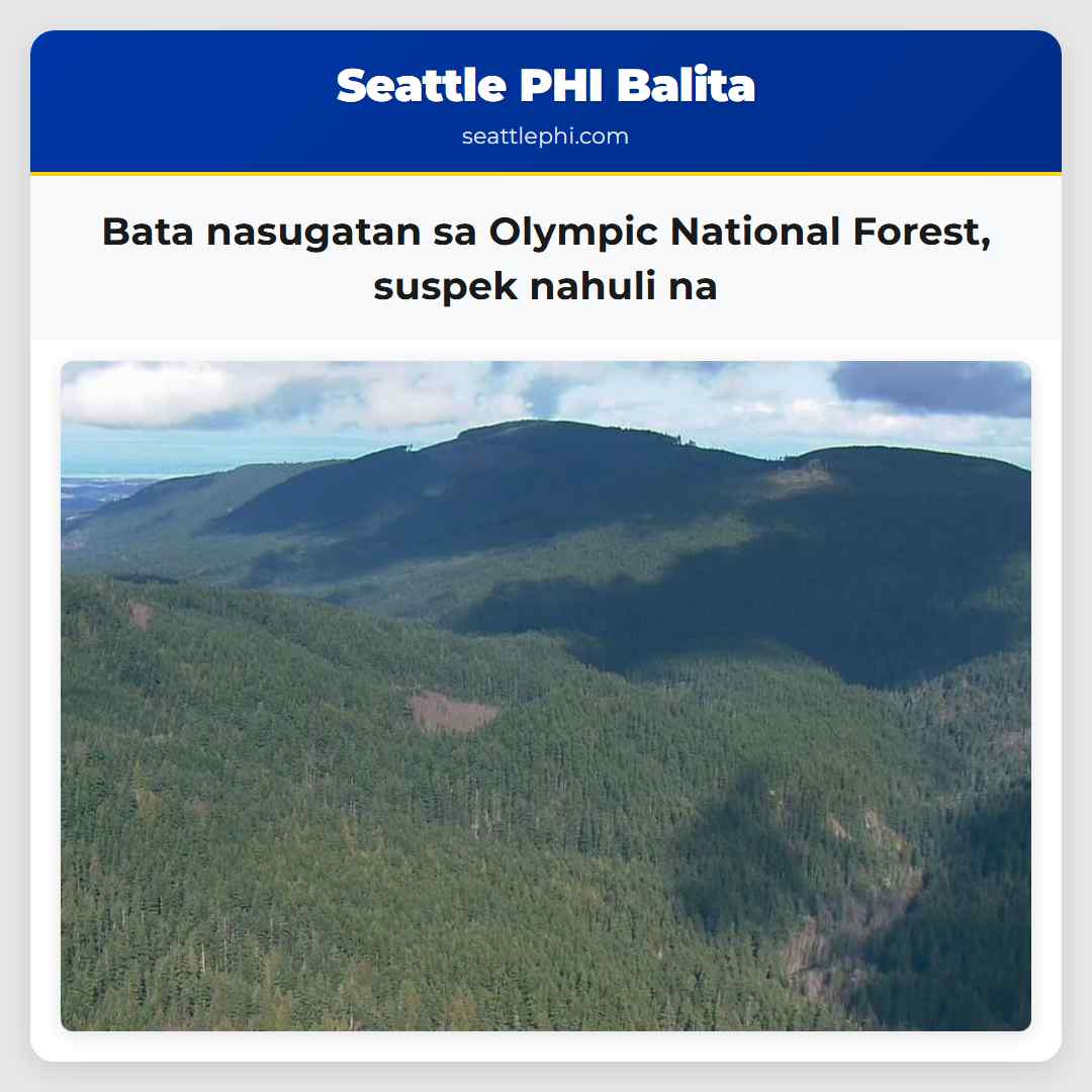 Bata nasugatan sa Olympic National Forest, suspek
