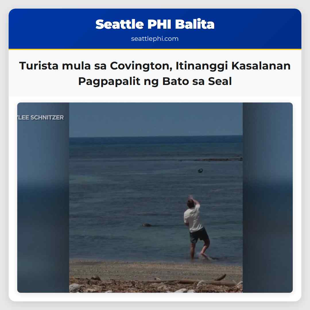 Turista mula sa Covington Itinanggi Kasalanan Pagpapalit ng Bato sa Seal