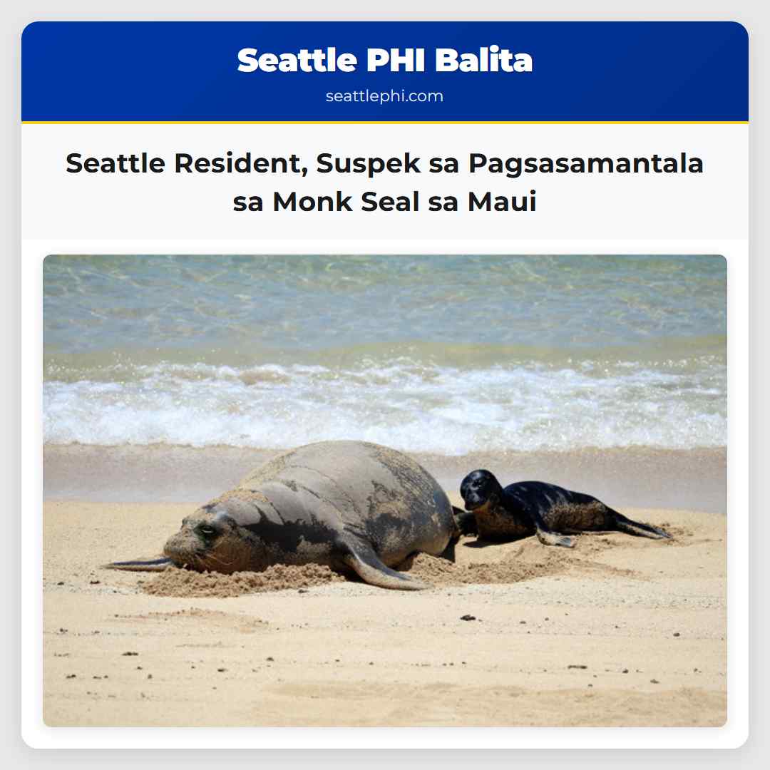 Seattle Resident Suspek sa Pagsasamantala sa Monk Seal sa Maui