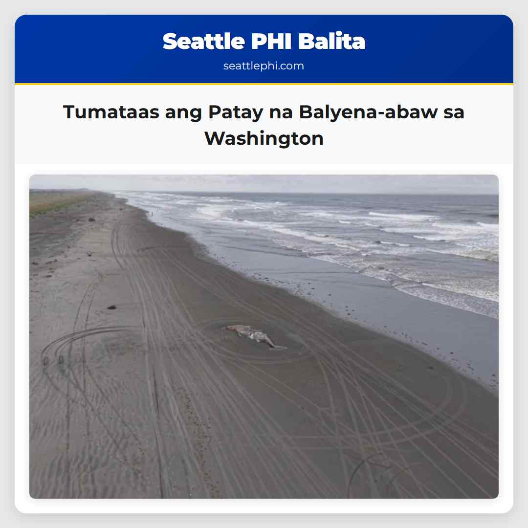 Tumataas ang Patay na Balyena-abaw sa Washington