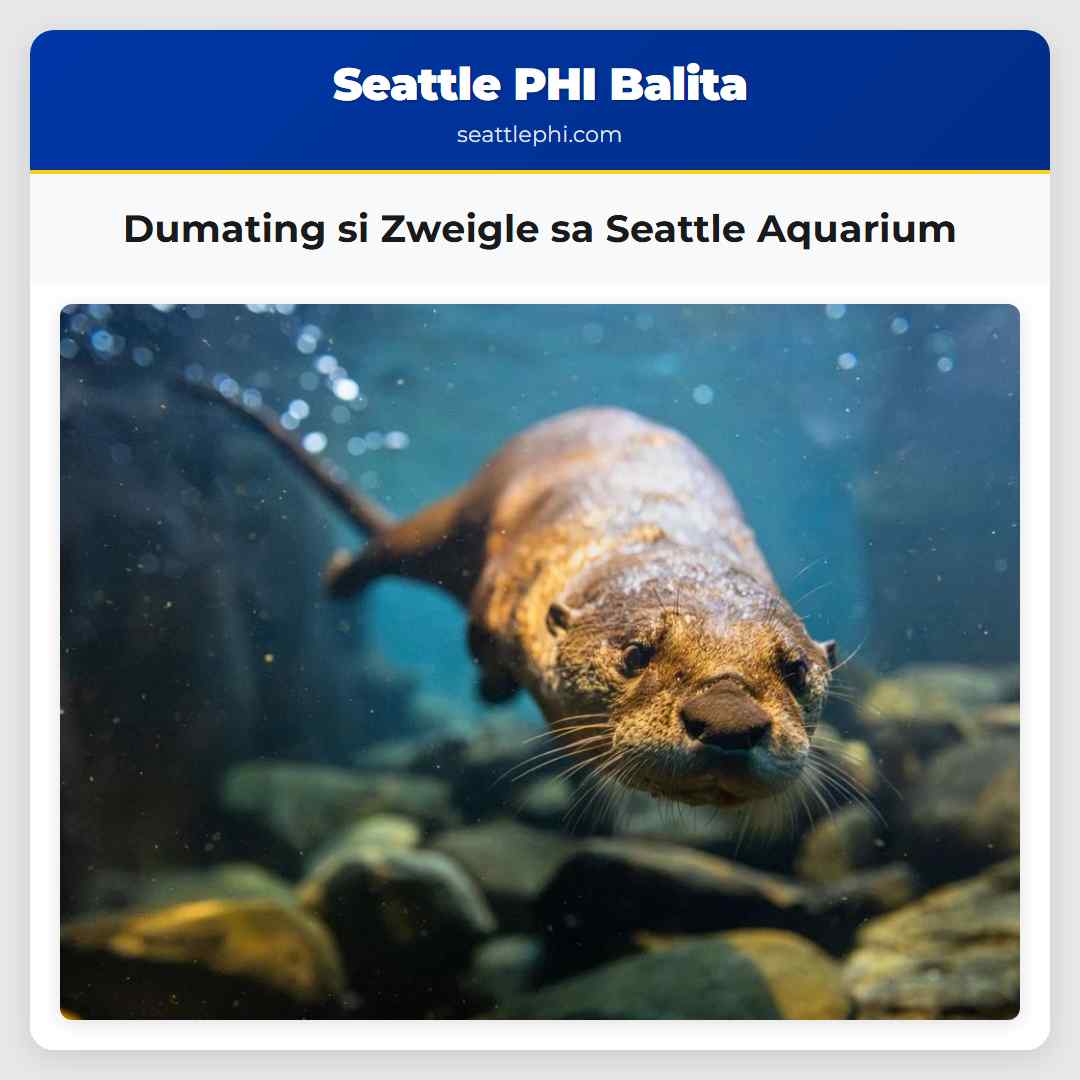 Dumating si Zweigle sa Seattle Aquarium