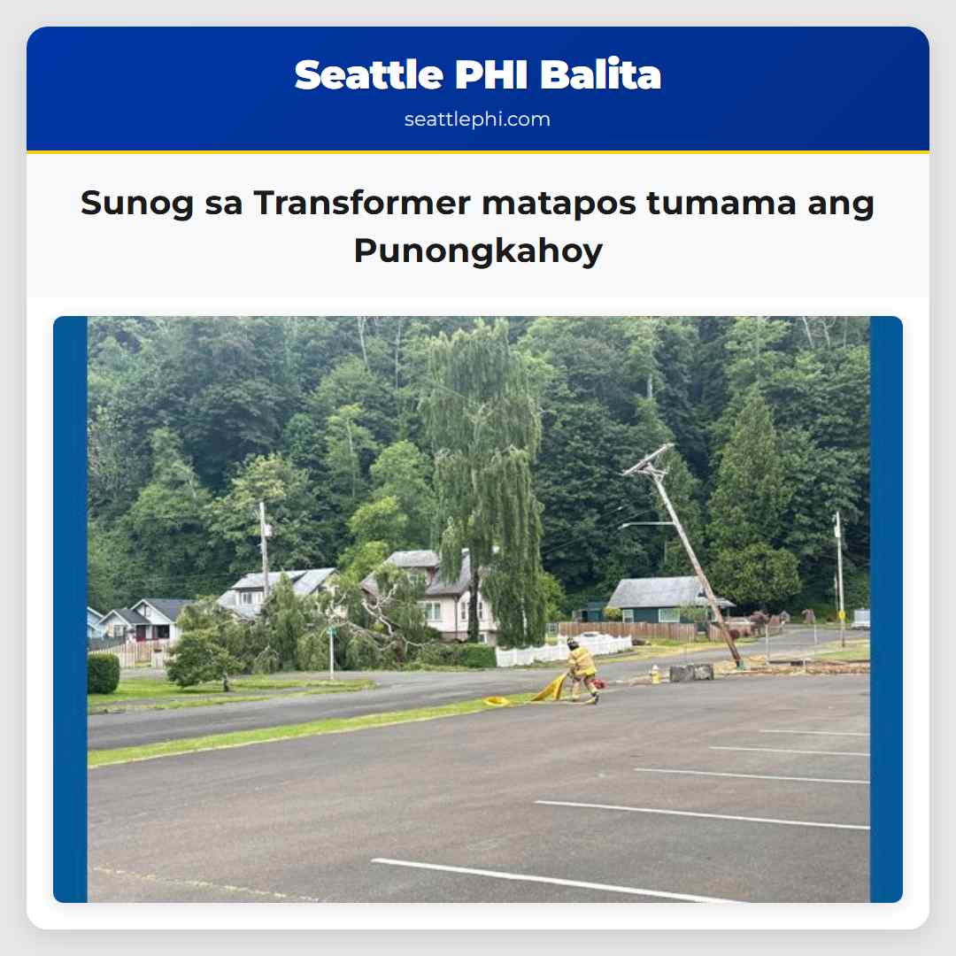 Sunog sa Transformer matapos tumama ang Punongkahoy