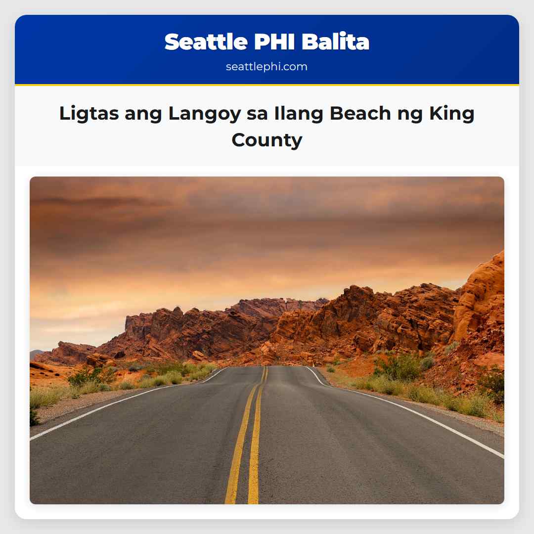 Ligtas ang Langoy sa Ilang Beach ng King County