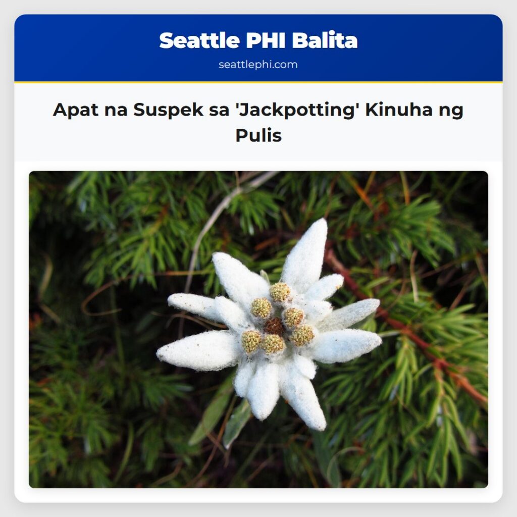 Apat na Suspek sa 'Jackpotting' Kinuha ng Pulis