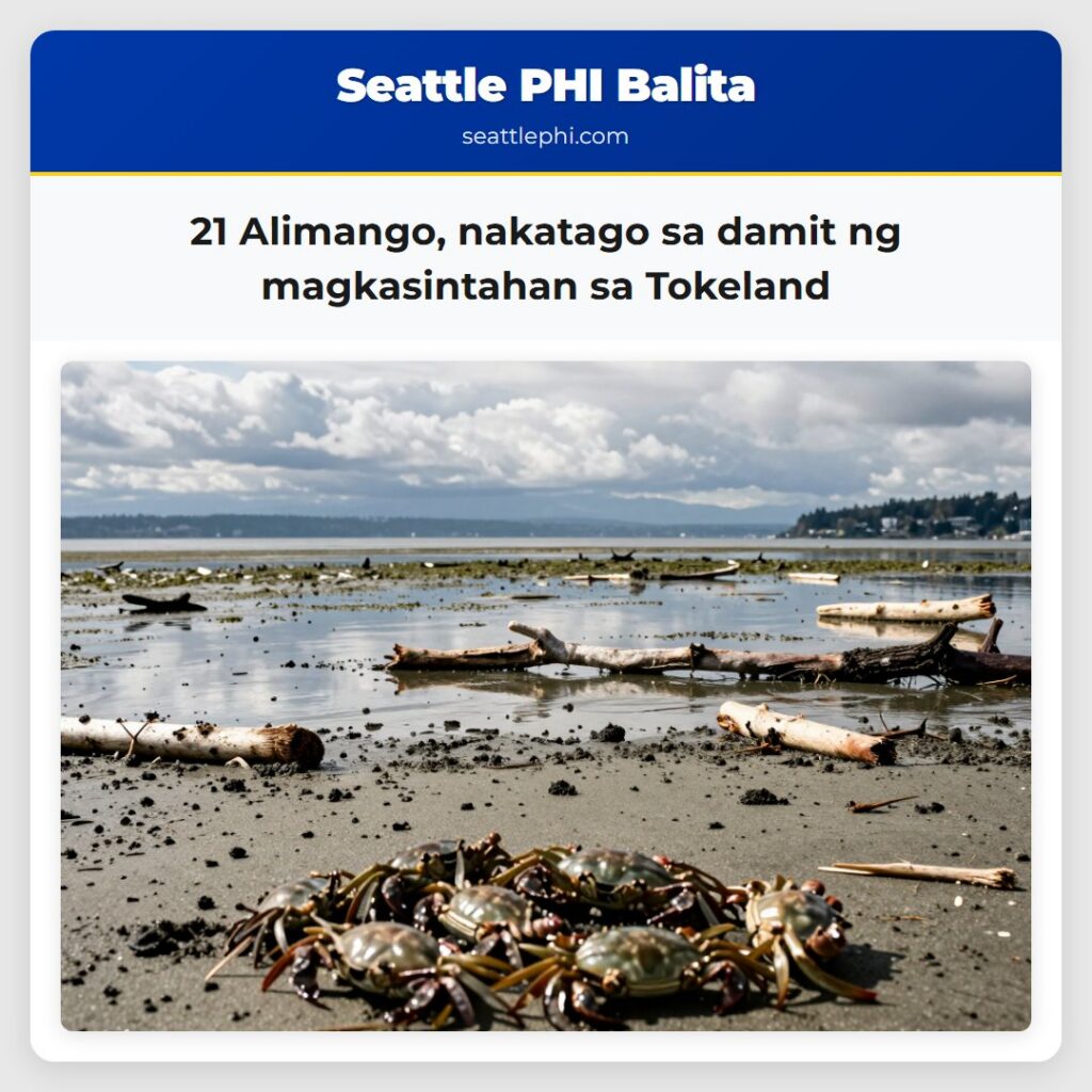 21 Alimango, nakatago sa damit ng magkasintahan