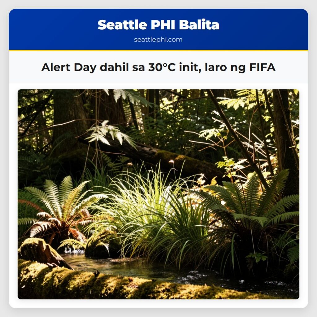Alert Day dahil sa 30°C init, laro ng FIFA