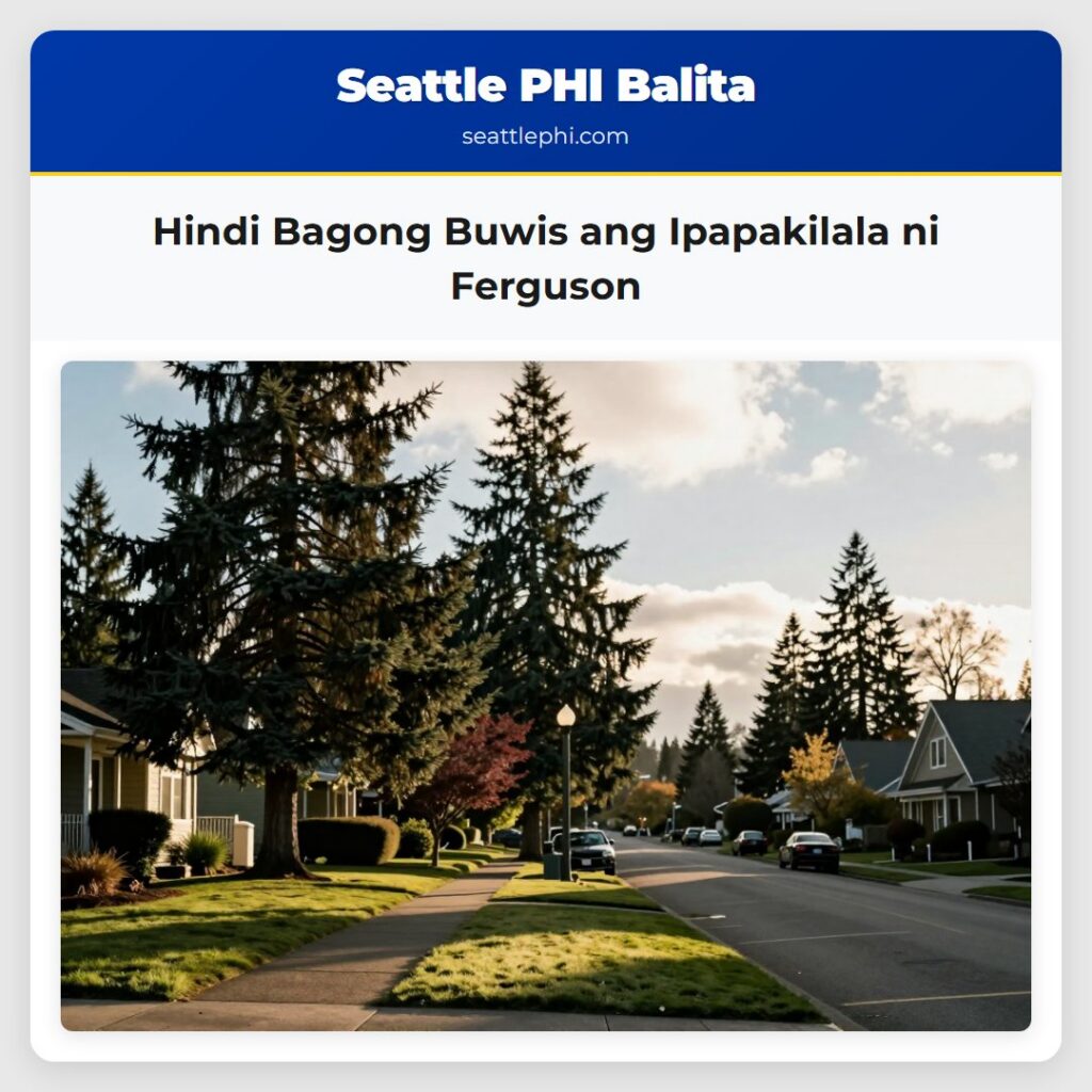 Hindi Bagong Buwis ang Ipapakilala ni Ferguson