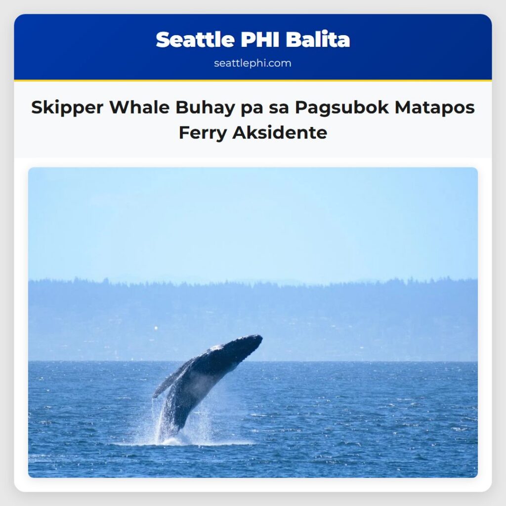 Skipper Whale Buhay pa sa Pagsubok Matapos Ferry Aksidente