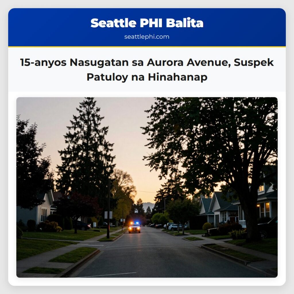 15-anyos Nasugatan sa Aurora Avenue, Suspek