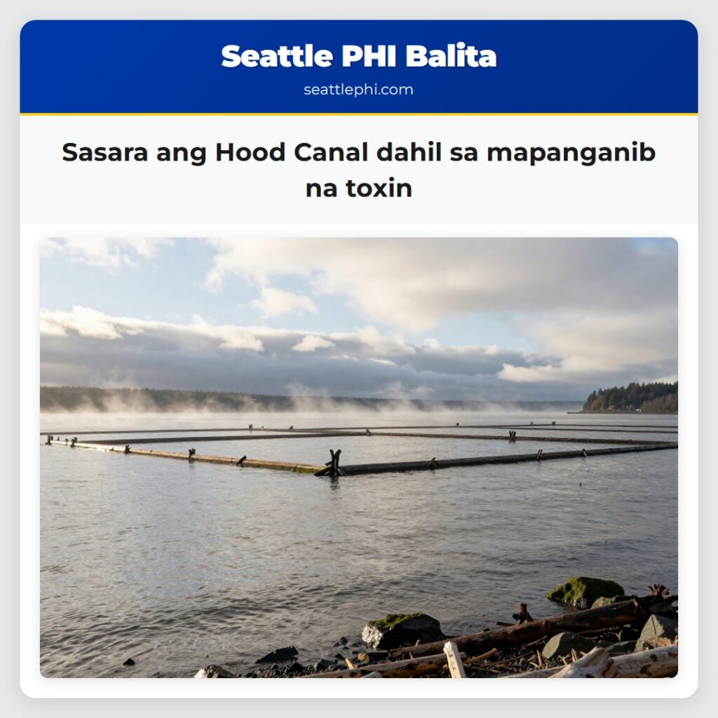 Sasara ang Hood Canal dahil sa mapanganib na toxin