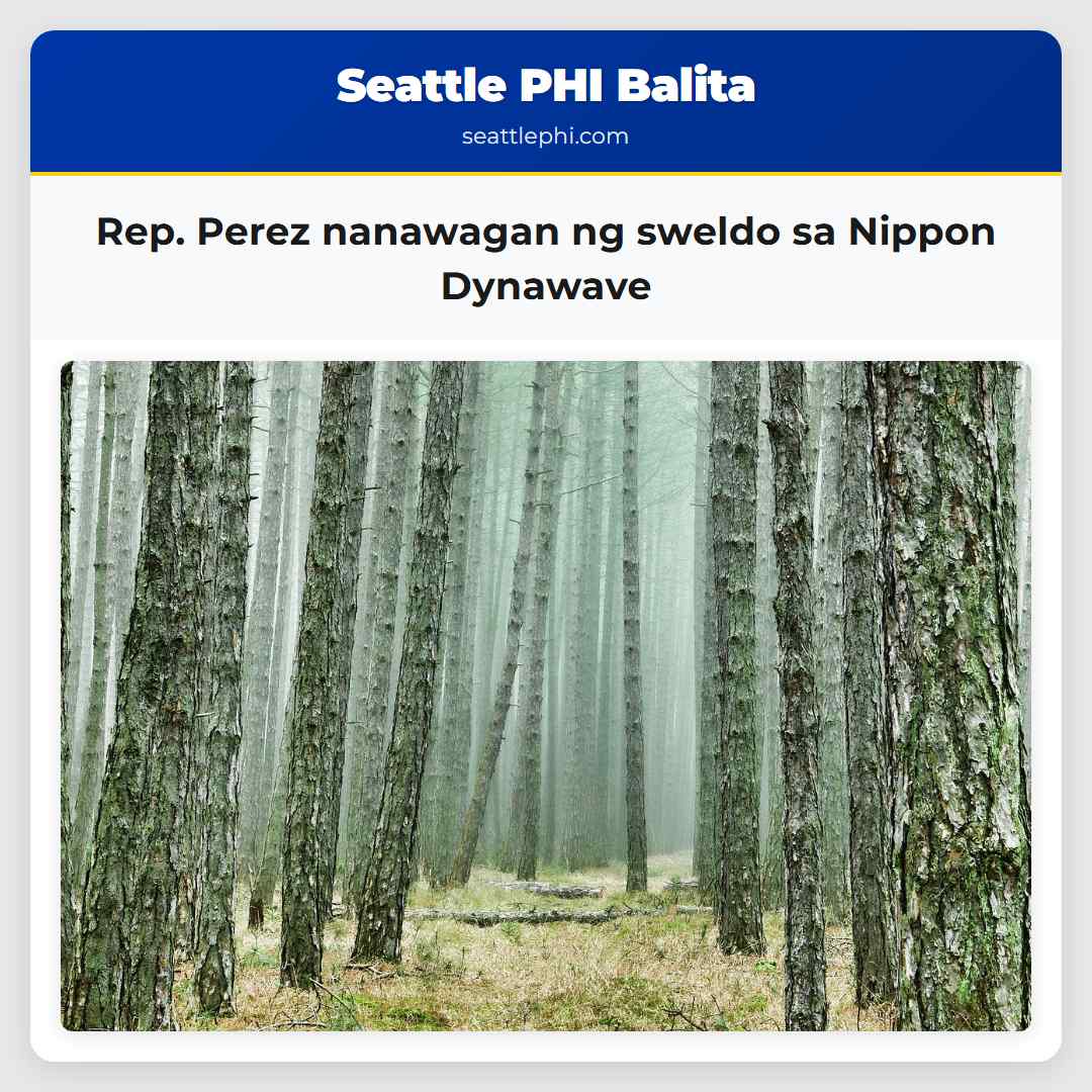 Rep. Perez nanawagan ng sweldo sa Nippon Dynawave