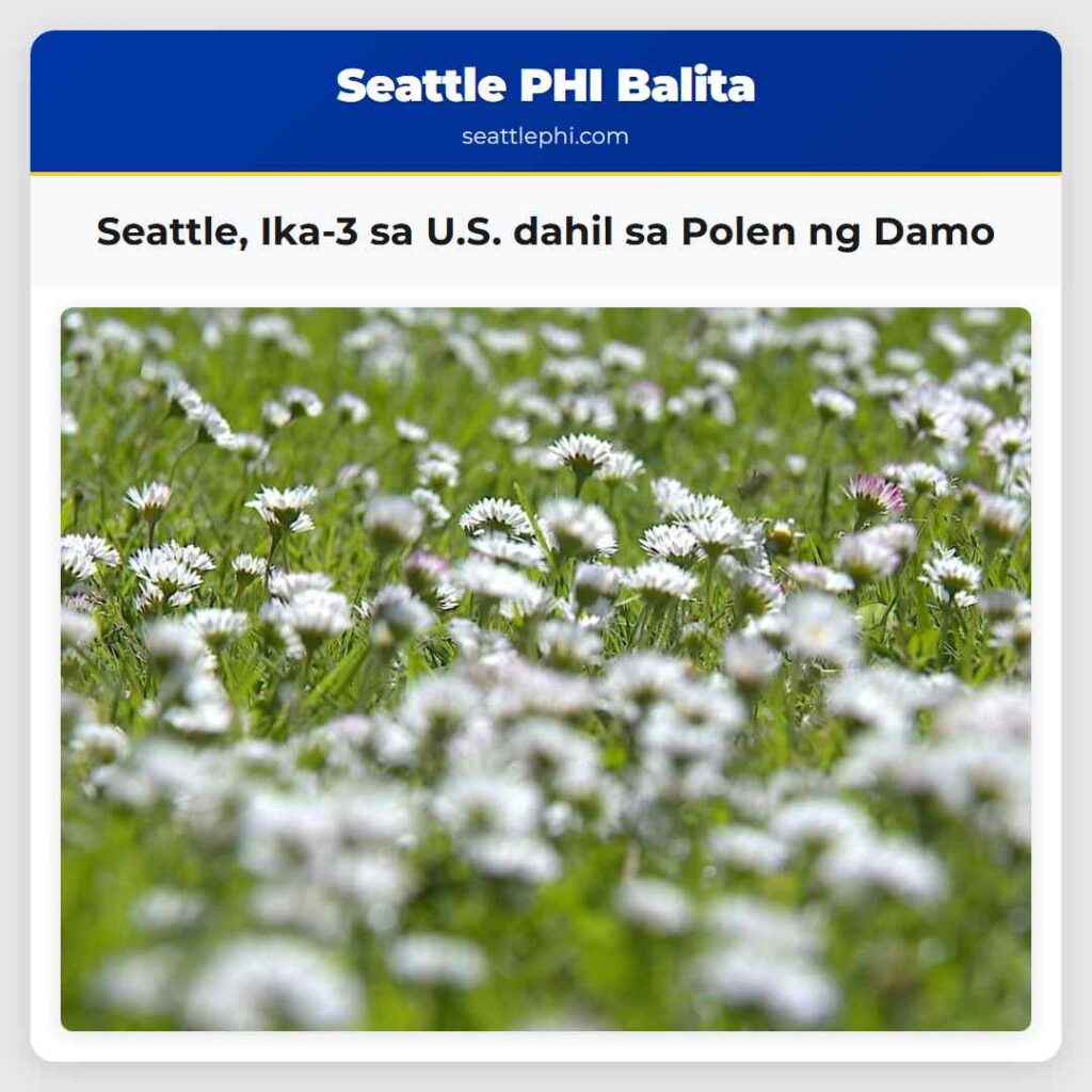 Seattle, Ika-3 sa U.S. dahil sa Polen ng Damo