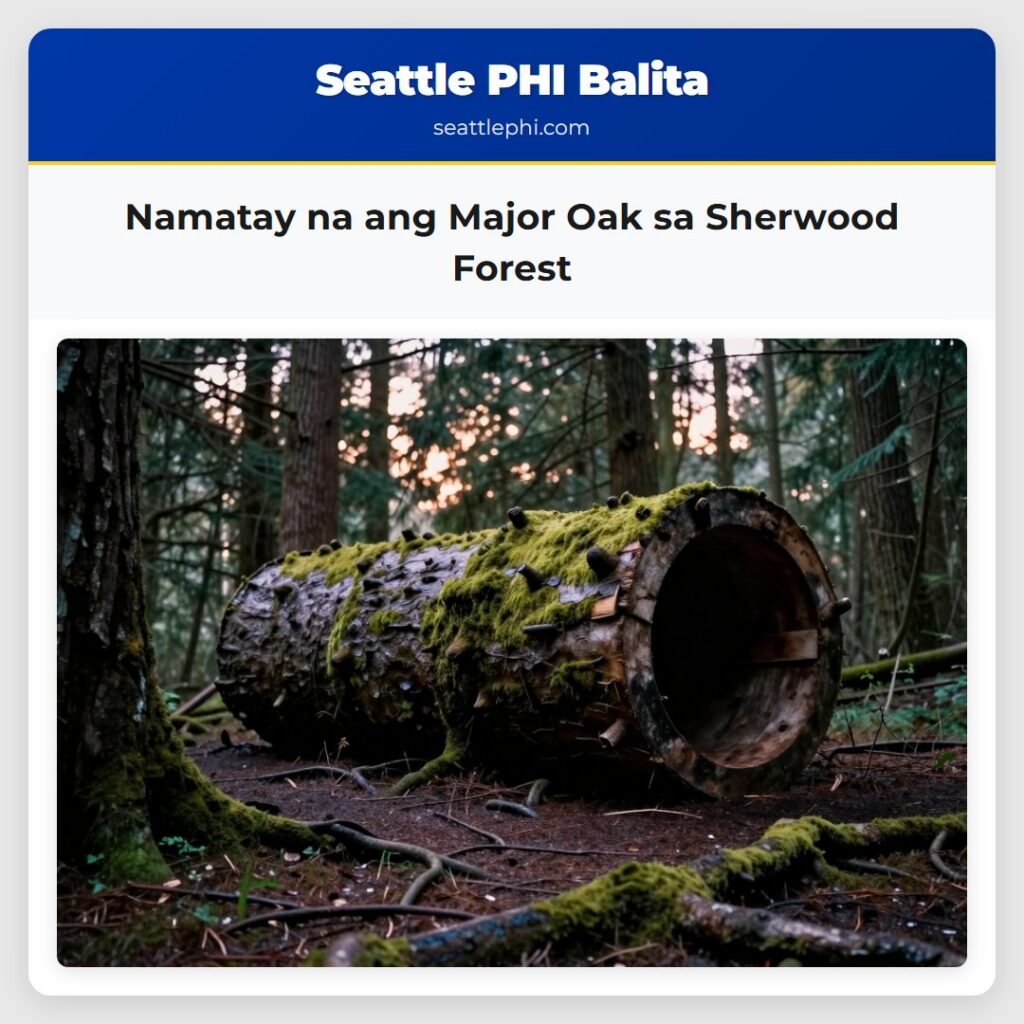Namatay na ang Major Oak sa Sherwood Forest