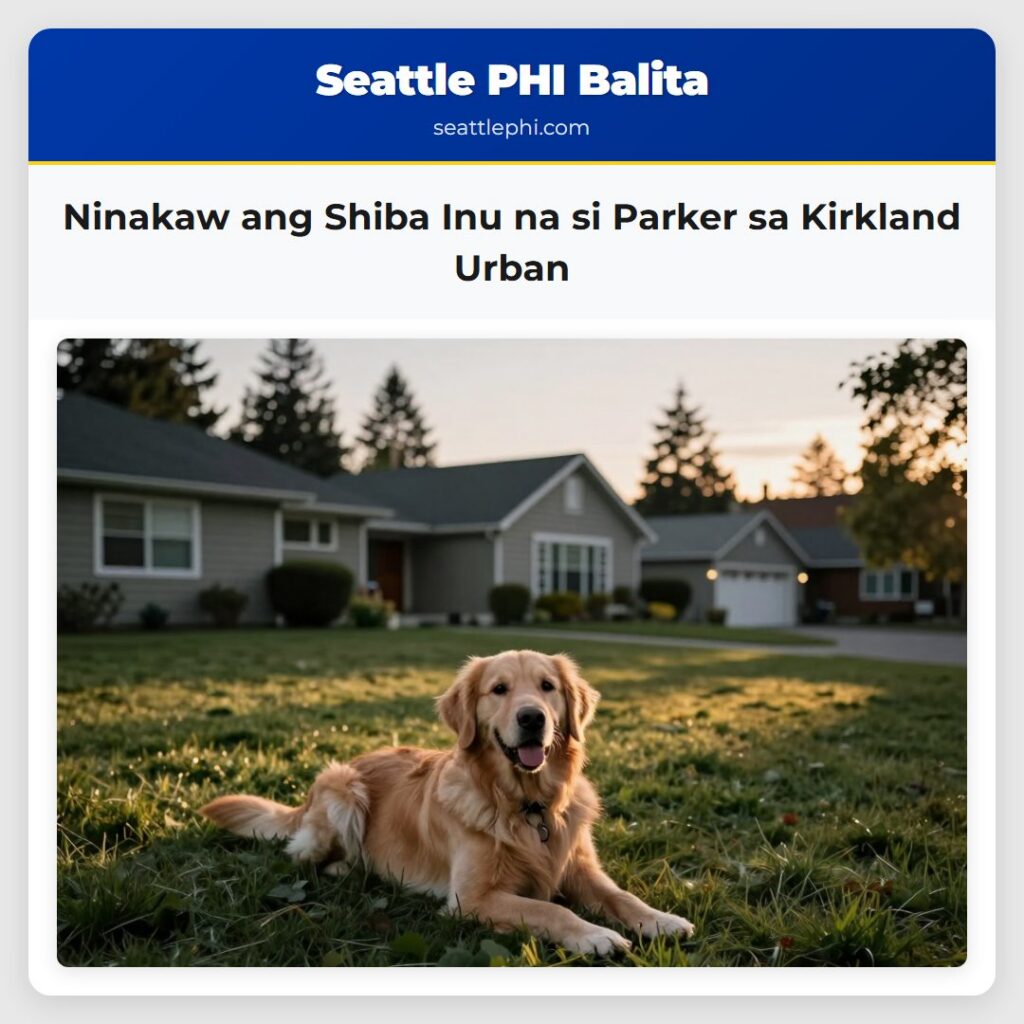 Ninakaw ang Shiba Inu na si Parker sa Kirkland