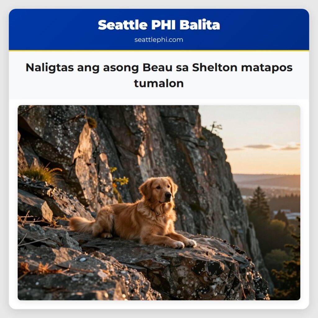 Naligtas ang asong Beau sa Shelton matapos tumalon