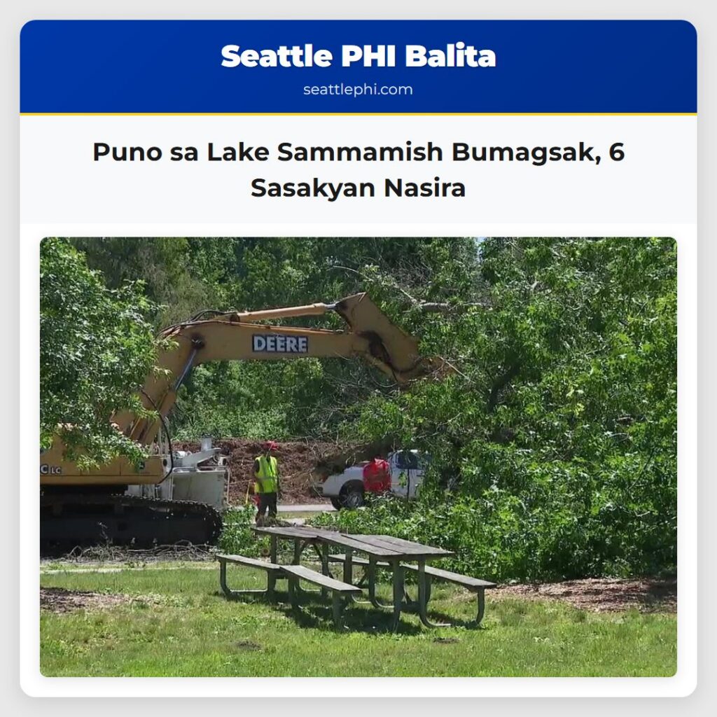 Puno sa Lake Sammamish Bumagsak, 6 Sasakyan Nasira