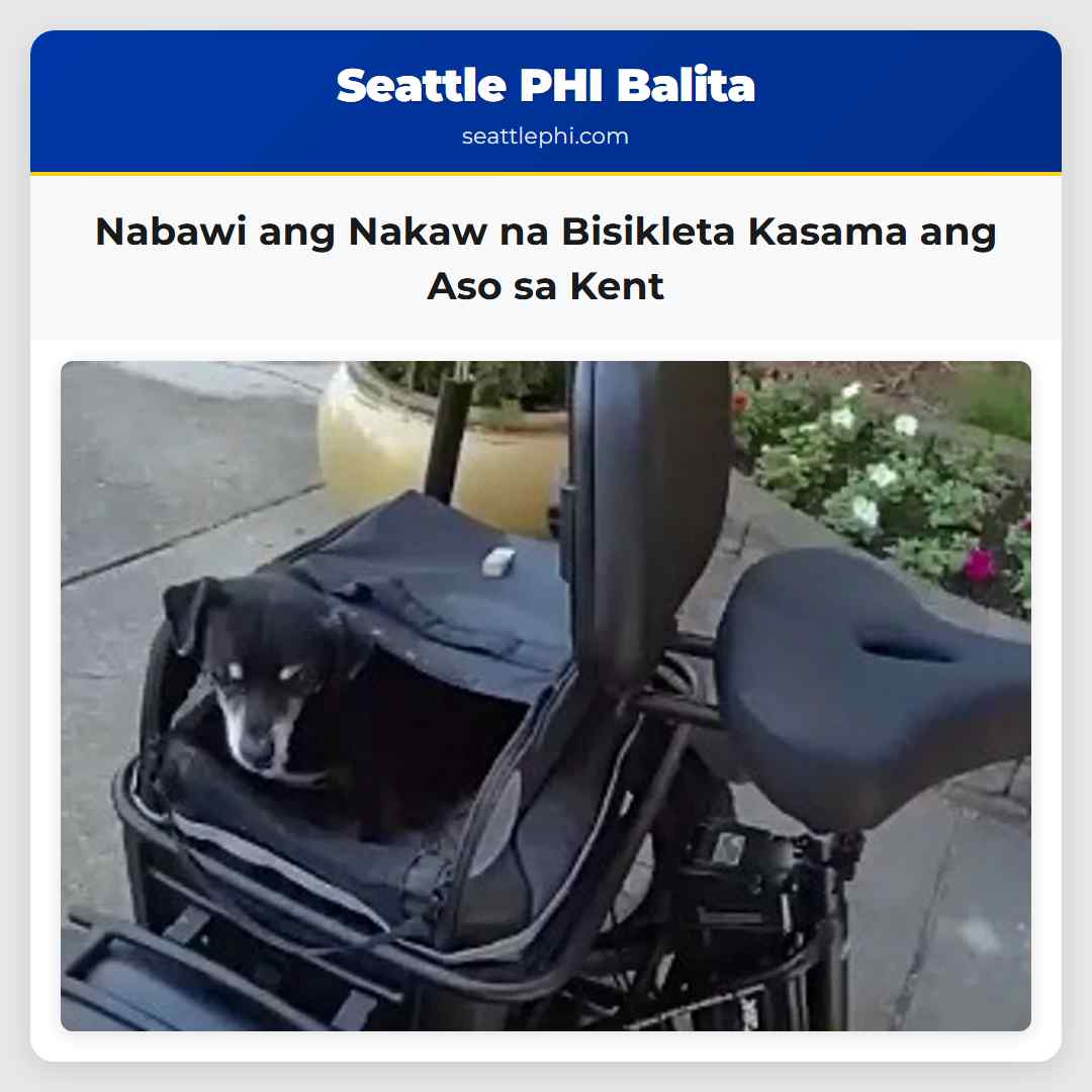 Nabawi ang Nakaw na Bisikleta Kasama ang Aso sa