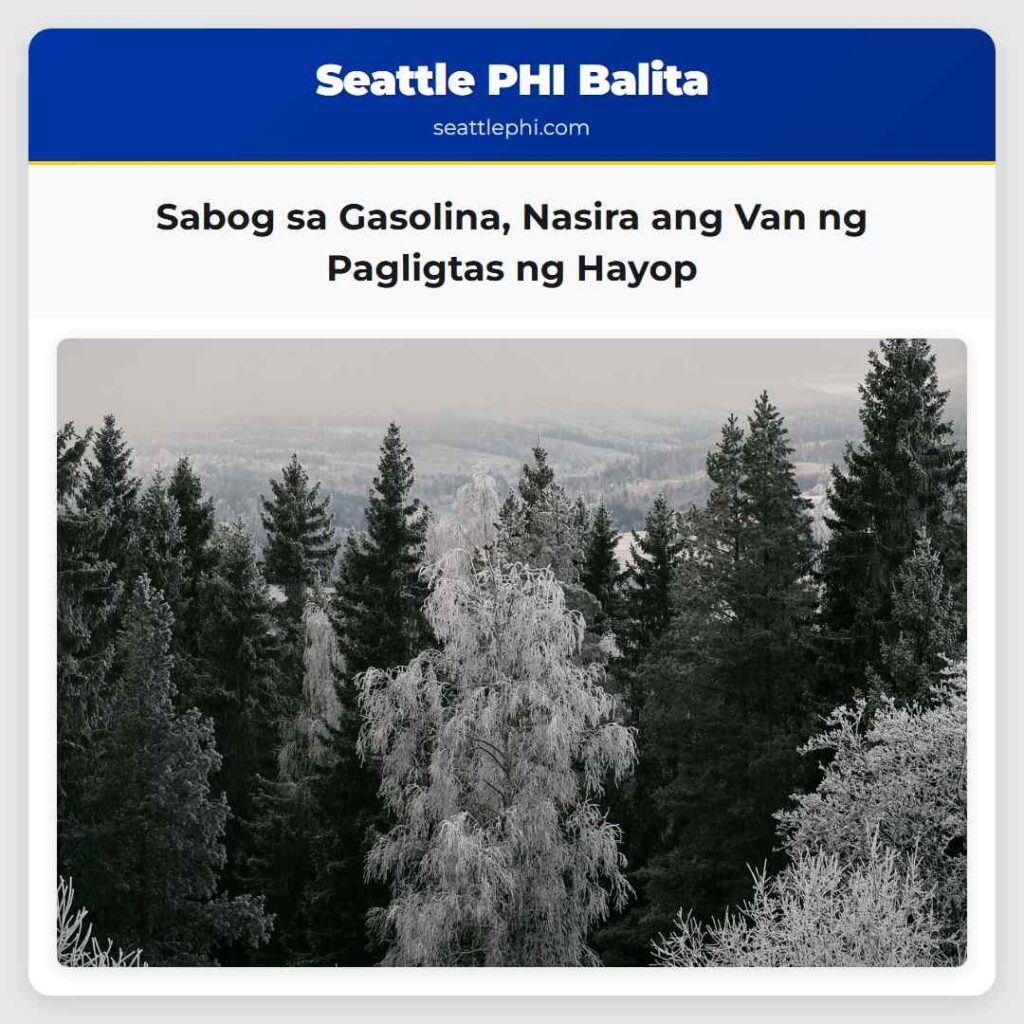 Sabog sa Gasolina, Nasira ang Van ng Pagligtas ng