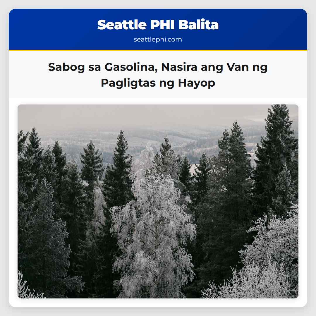 Sabog sa Gasolina Nasira ang Van ng Pagligtas ng Hayop