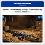 Apat na Talampakang Buwaya sa Establisyo ng Kabayo Nabalik na