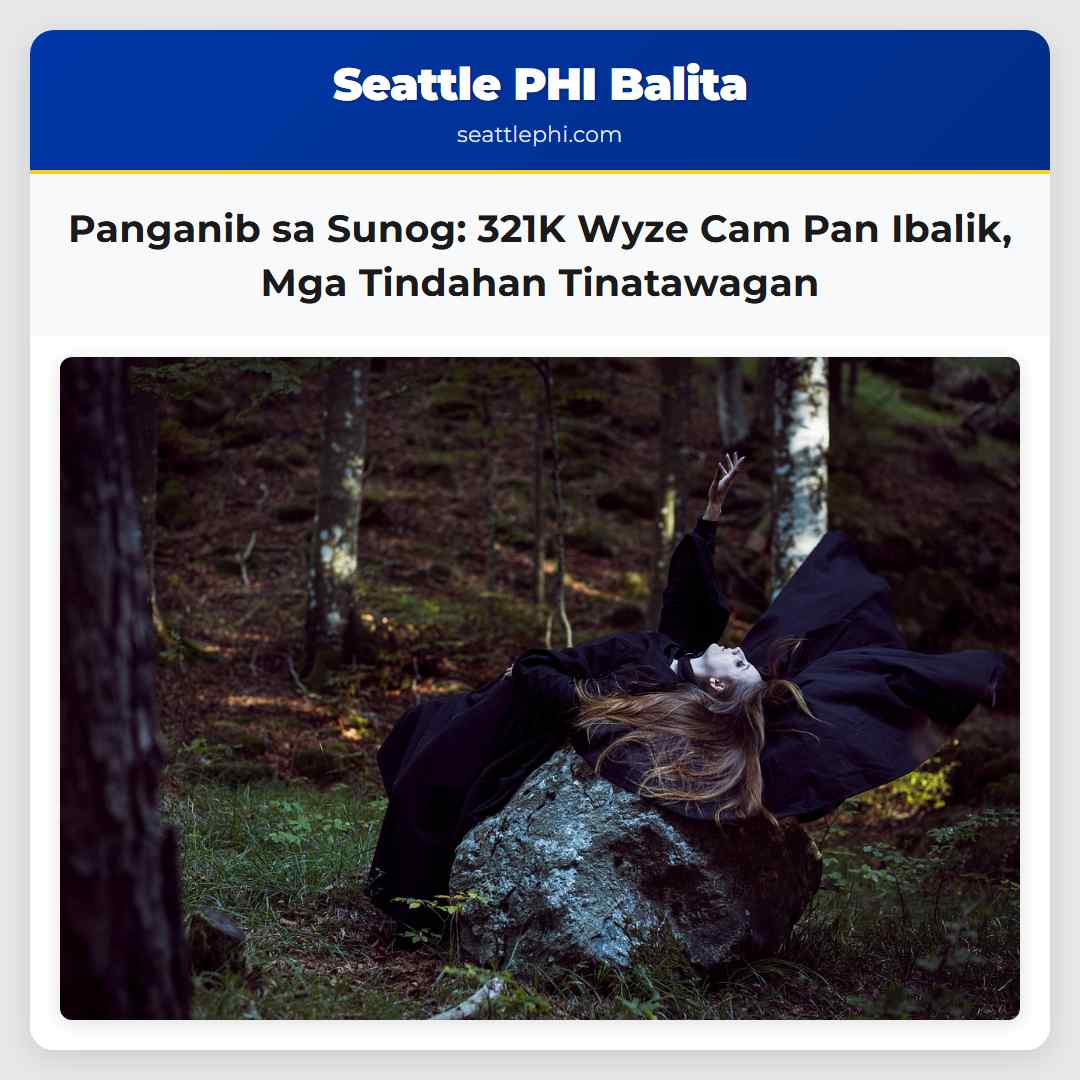 Panganib sa Sunog 321K Wyze Cam Pan Ibalik Mga Tindahan Tinatawagan