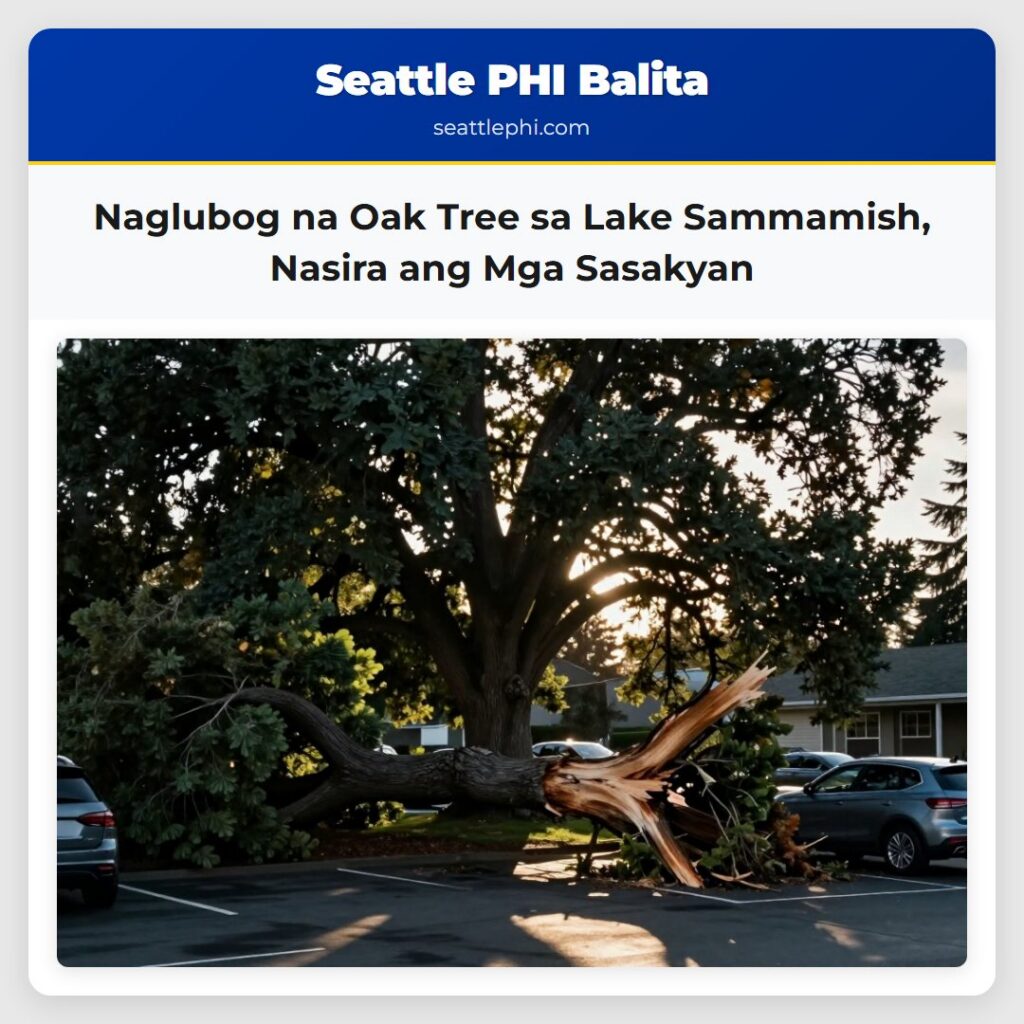 Naglubog na Oak Tree sa Lake Sammamish, Nasira