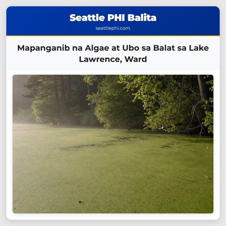 Mapanganib na Algae at Ubo sa Balat sa Lake Lawrence Ward
