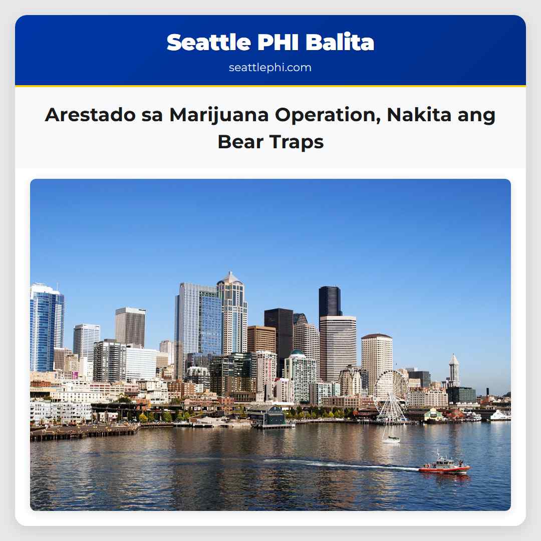 Arestado sa Marijuana Operation Nakita ang Bear Traps