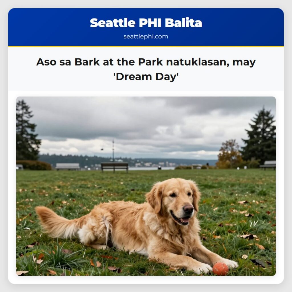 Aso sa Bark at the Park natuklasan, may 'Dream