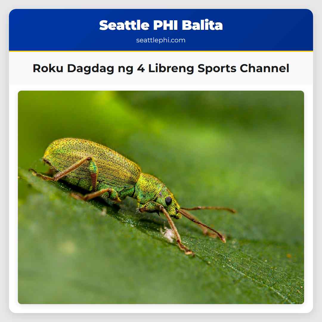 Roku Dagdag ng 4 Libreng Sports Channel