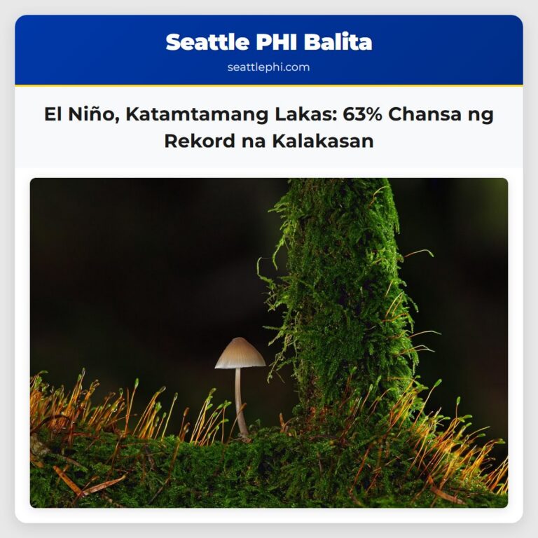 El Niño Katamtamang Lakas 63% Chansa ng Rekord na Kalakasan