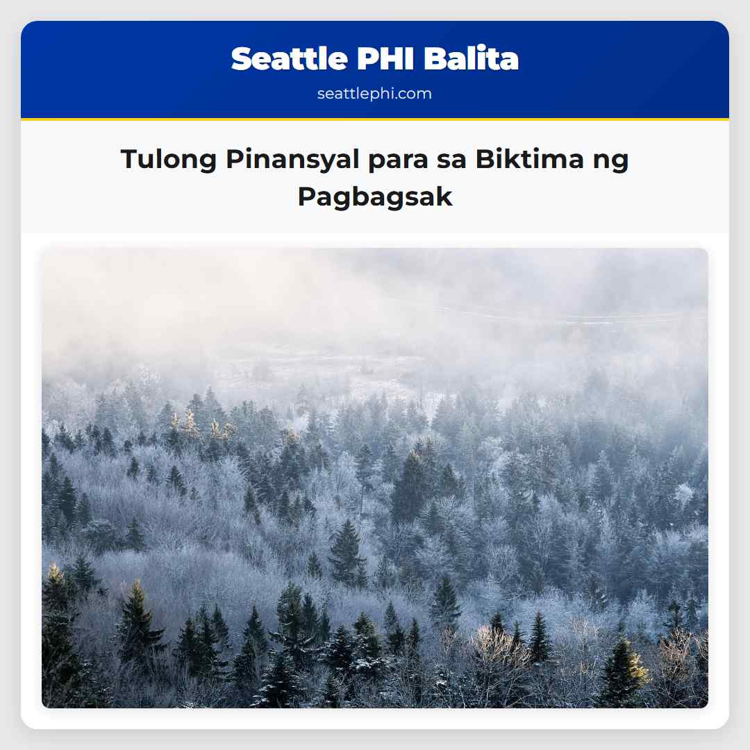 Tulong Pinansyal para sa Biktima ng Pagbagsak